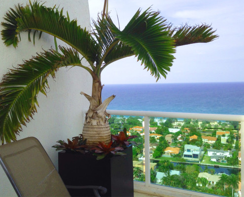 exterior-landscaping-beach-balcony