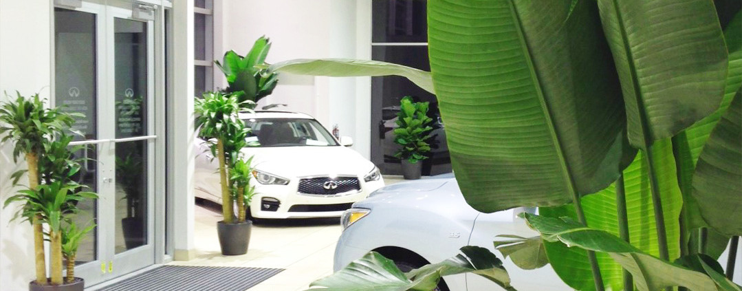 indoor-commercial-landscaping-car-dealer