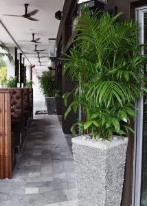 commercial-outdoor-landscaping