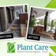plant-care-services-before-before-after